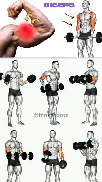 💪🏼УПРАЖНЕНИЙ С ГАНТЕЛЯМИ 💪🏼 ДЛЯ ДОМА И ЗАЛА.../Все в твоих руках, действуй 🤜 🤛/
