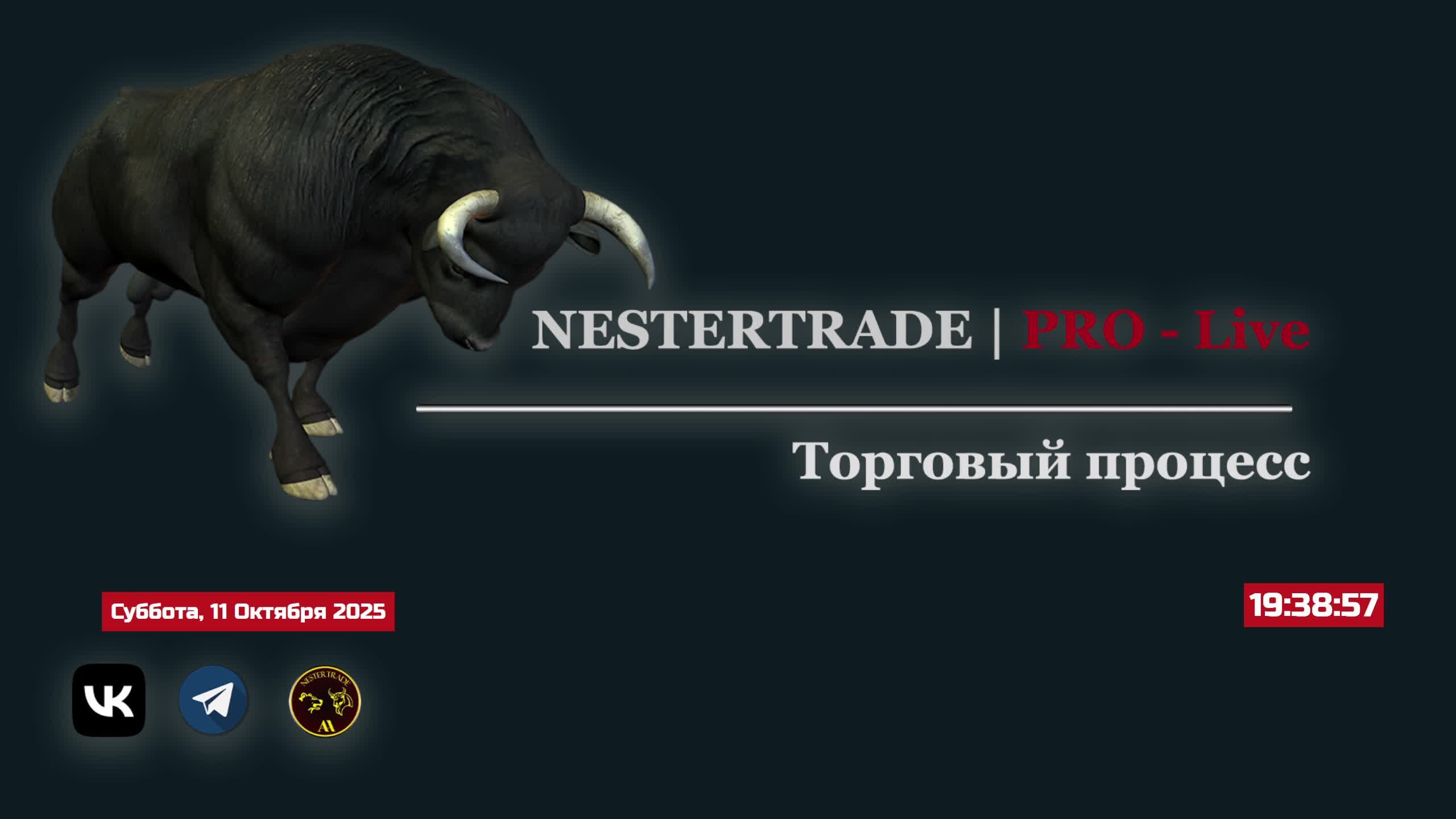 БИРЖЕВАЯ ИДЕЯ - Торговый процесс #4
