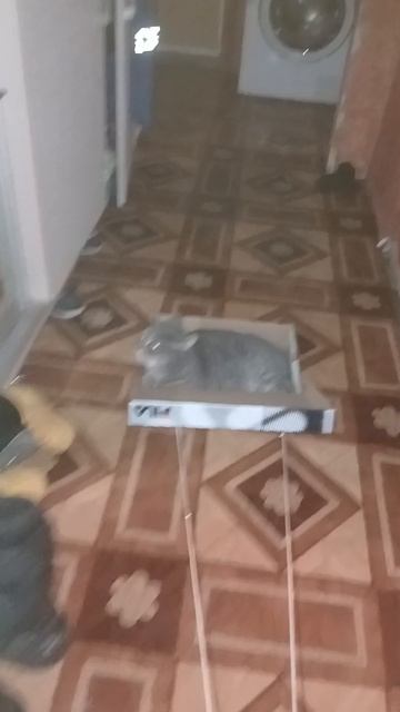 я уеду на кухню