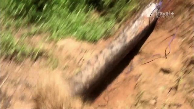 Deadliest Journeys - Madagascar (720p)