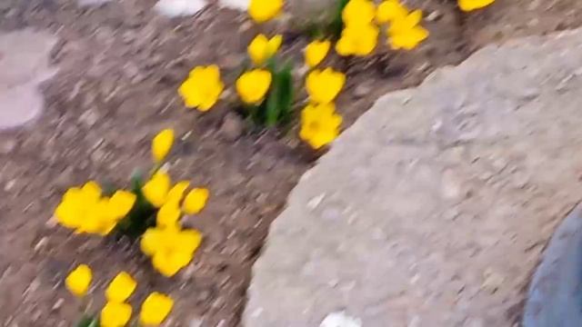 1000055124.mp4