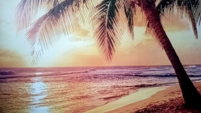 Приключения Богослова вЭдеме🏝Начало🍎Книга Бытия📖