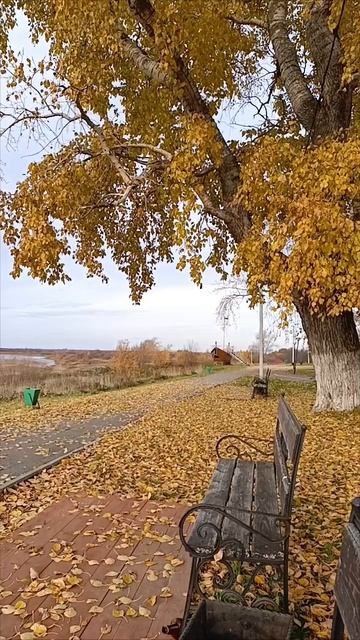 листопад