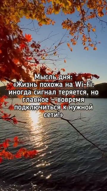 #katyboro #мысли #цитаты #shortvideo #shorts