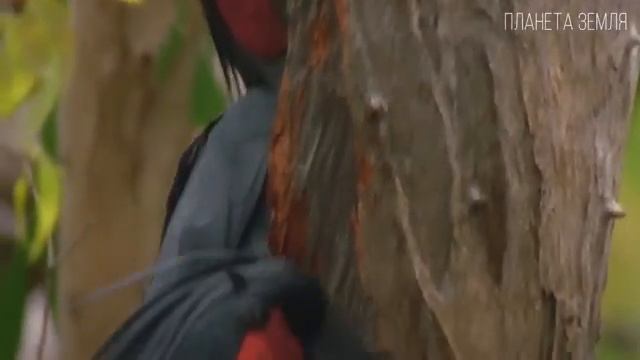 1000014206.mp4