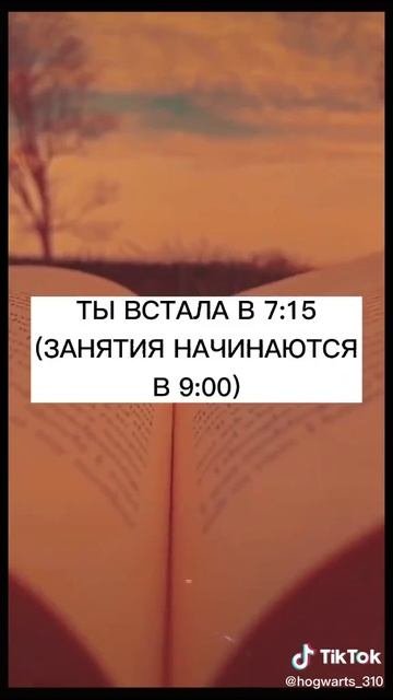 #caxapok_stori