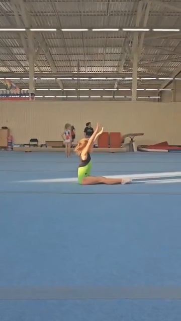 вольное