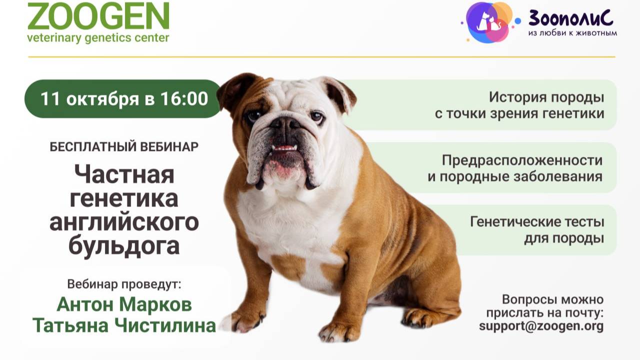 ЧАСТНАЯ ГЕНЕТИКА АНГЛИЙСКОГО БУЛЬДОГА. 11.10.2025, 16:00 МСК