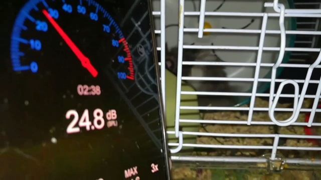Хомяк в децибелах