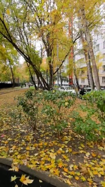 Осенние прогулки