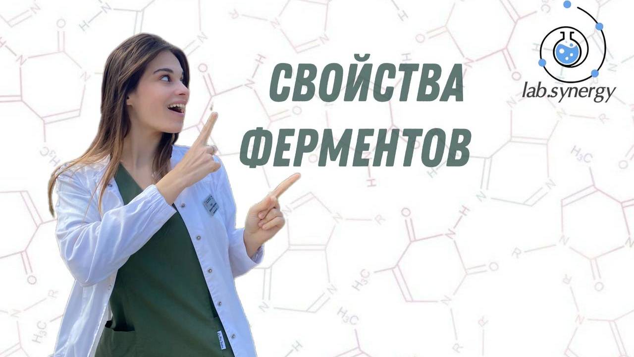 Ферменты. Свойства ферментов. Теории Фишера и Кошленда