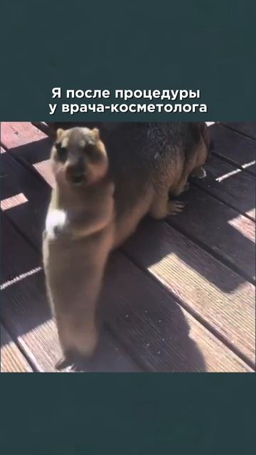 Счастье — внутри, но косметология помогает ему проявиться!