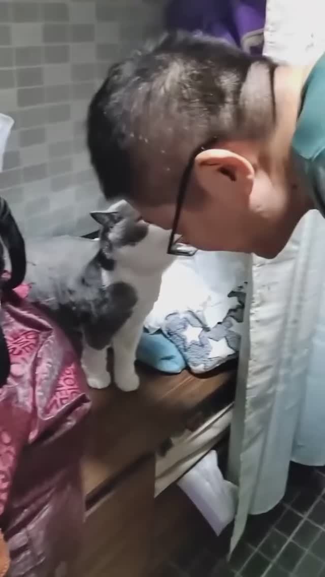 Говорящие коты🤣
