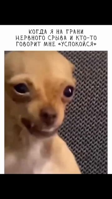 Успокойся