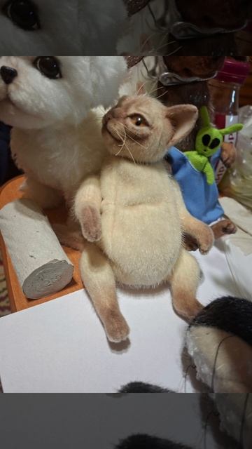 кошечка