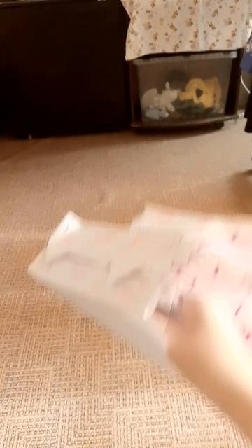1000000850.mp4