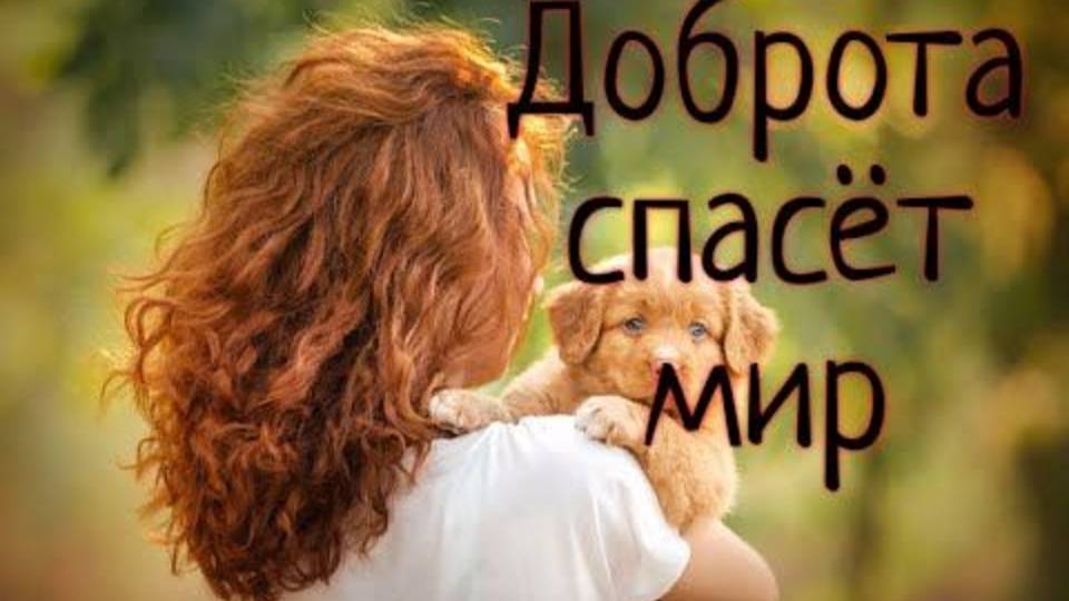 Доброта спасет мир!♥️♥️♥️