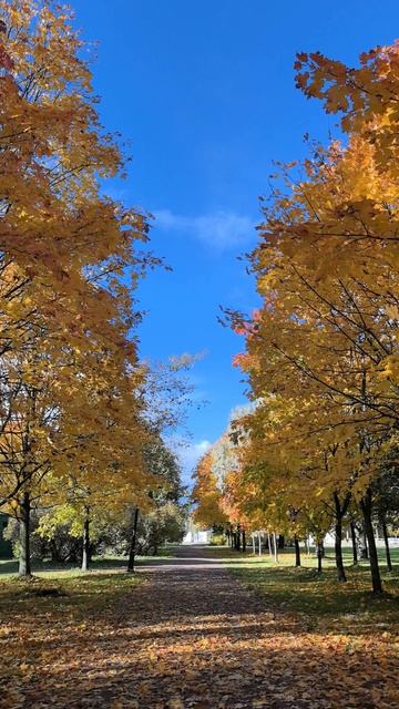 🍁Осенний парк🍁