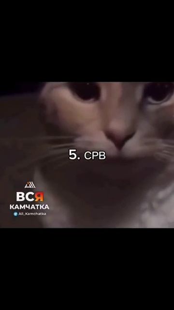 а кто вы во время землетрясения