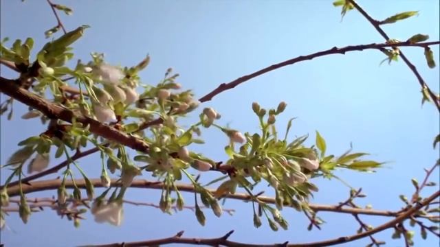 Кирочка, C Днём рождения 11 октября 2025 года.