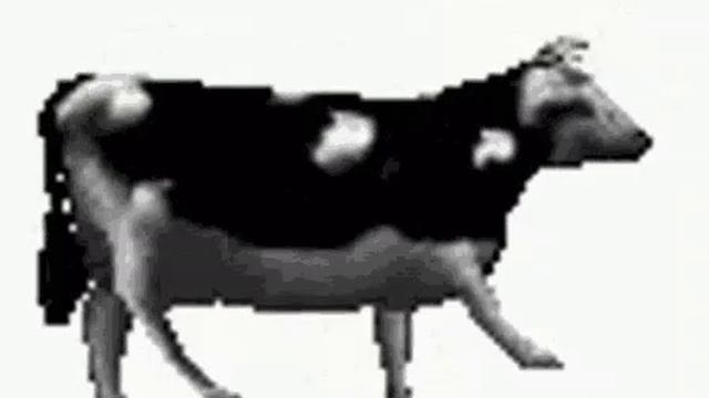 прикол
