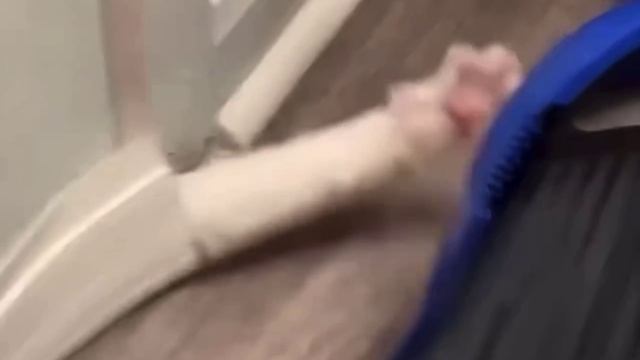 В дом проникло Оно🤡😱😂