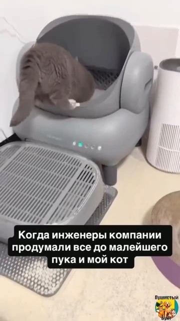 Клип meowtaverse