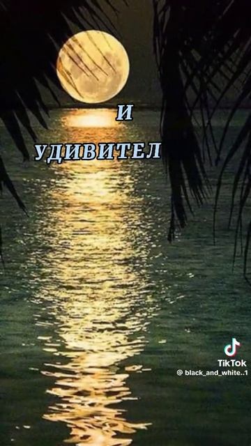 спокойный ночи