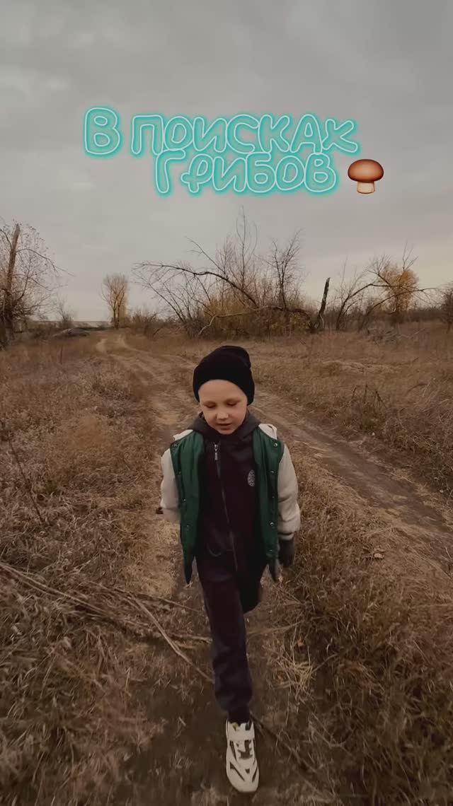 Сбор грибов 