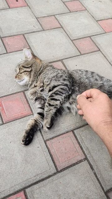 SOS!!! 🆘Очень срочно нужна помощь волшебников на материалы для сборки статуи Иисуса Христа! 🙏