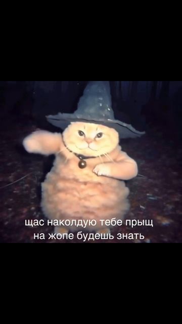 наколдую