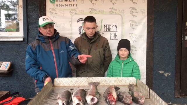 итоговый улов форели
