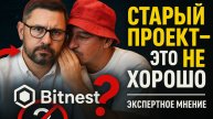 Стоит ли вкладывать в Bitnest? Честный ответ, который вас шокирует