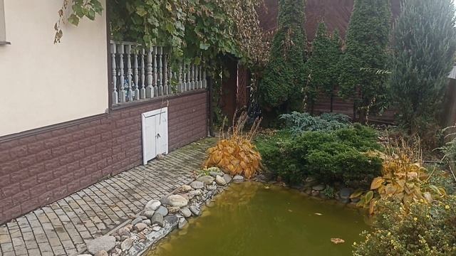 VID_20251011_124806