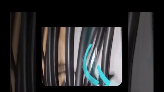 1000037032.mp4 (Собака смотрит на монтаж электропроводки (в э/щите) в доме А-фрейм)