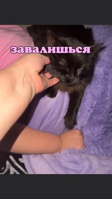 #ДЦП #ДЦПнеприговор #Ксюхоньдя #Ksyhondya 
 #KsyhondyaLive