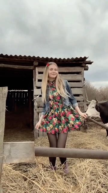 В селе навеселе 