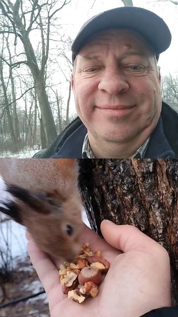 Елагин остров