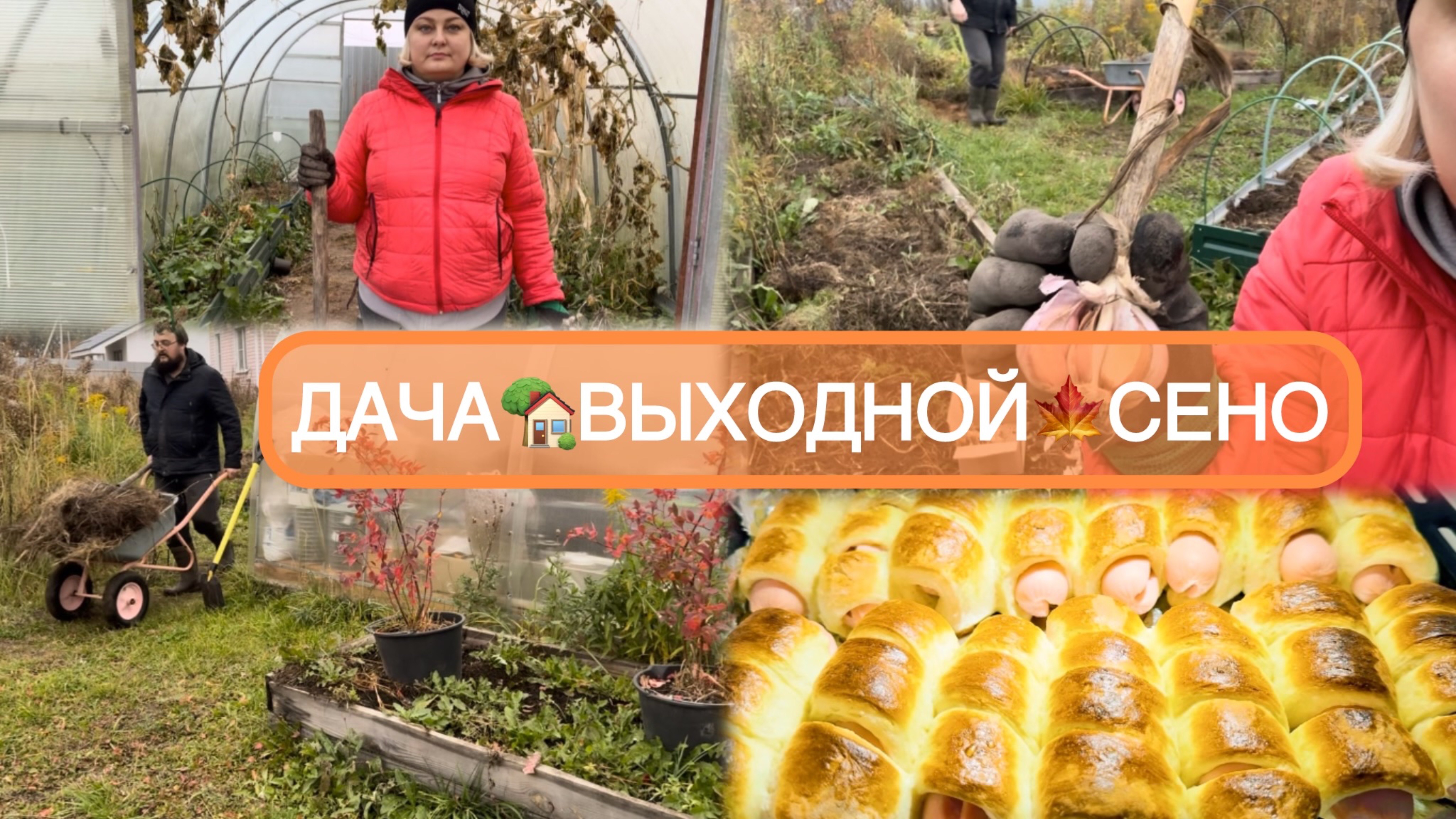 🟣ДАЧА 🏡ГРЯДКИ /СЕНО 🍁ГРИБНОЙ СУП🍄