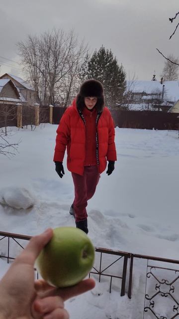 Яблоко
