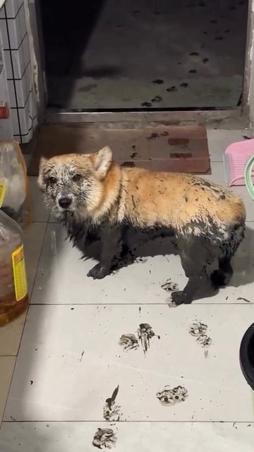 Что то ни так🥺?))
