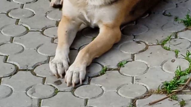 1000055118.mp4