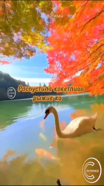 летнийлетний Роман