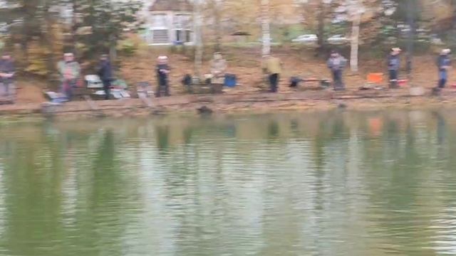 WhatsApp Video 2025-10-11 At 11.03.04