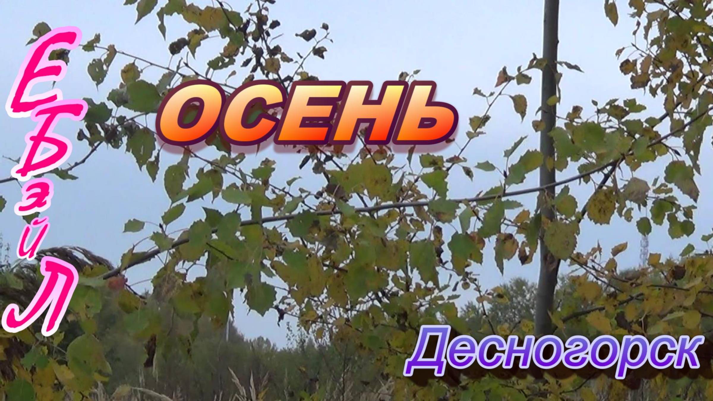 Фидер ДВХ Осень