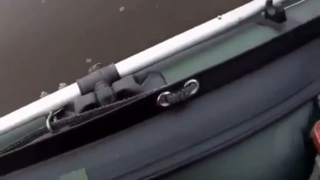 Видео от За Трофеем: Охота и Рыбалка