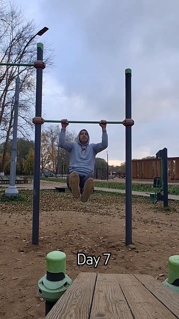 Тренировочная практика. День 7