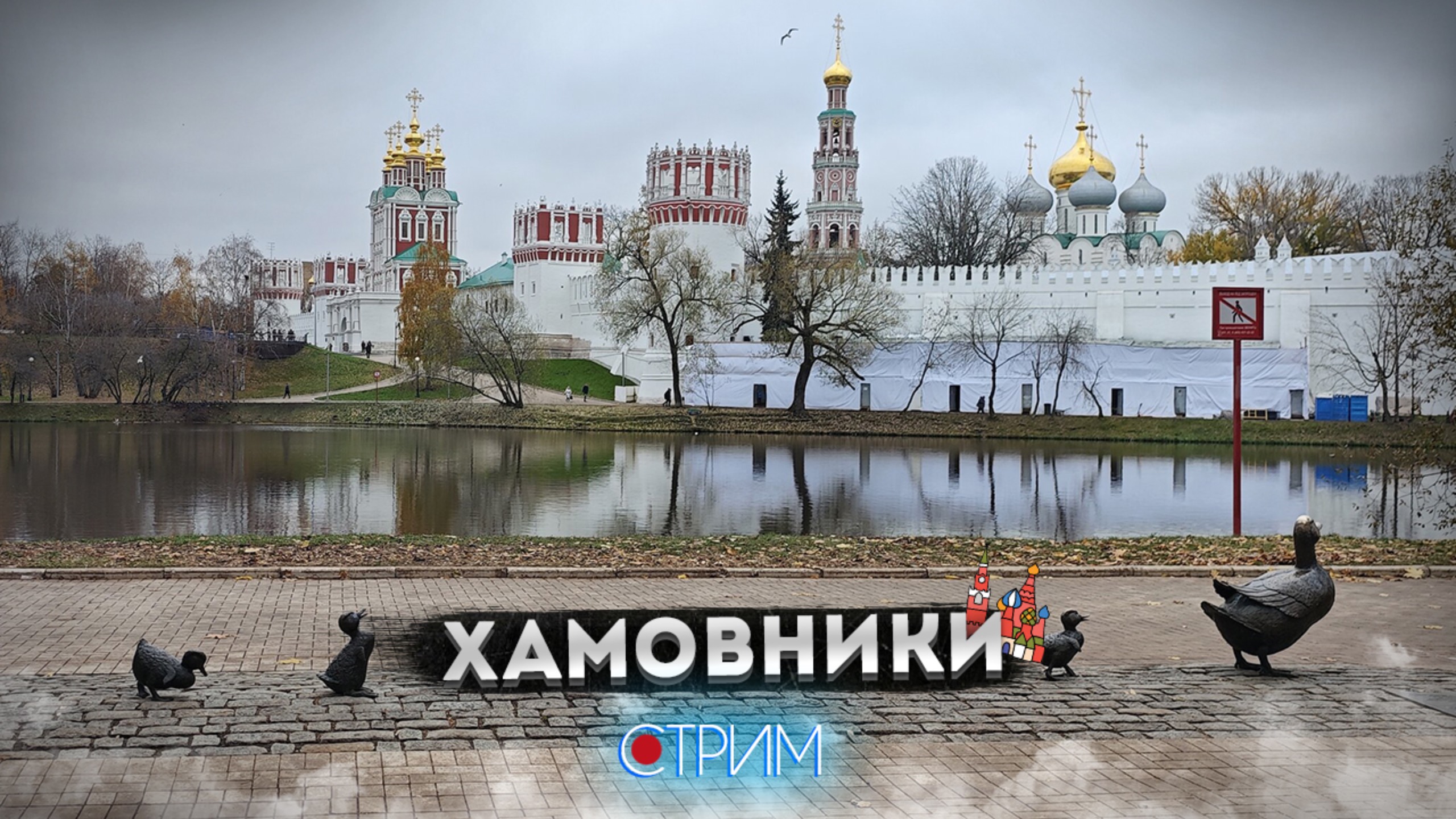 Хамовники – СТРИМ