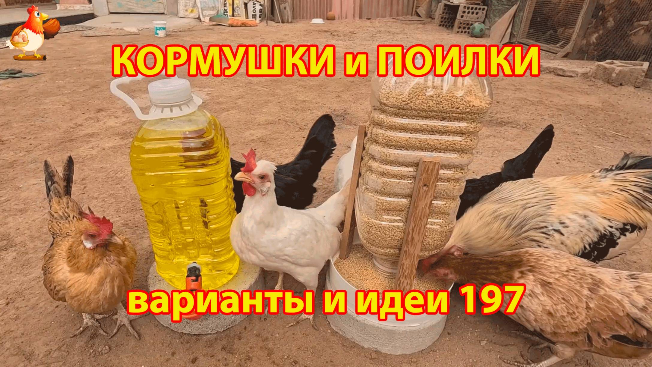 Кормушки и поилки для кур своими руками (197) 🪚✂️ Пошаговая инструкция как сделать 🐔 🐓❣️