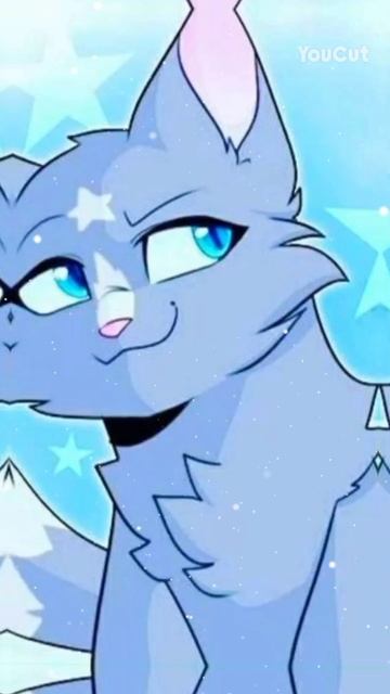 Коты Воители. Синяя Звезда